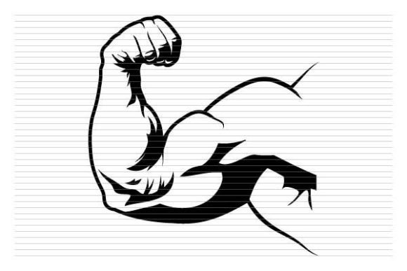 Download Body Building Man Arm Muscle - Man Collection